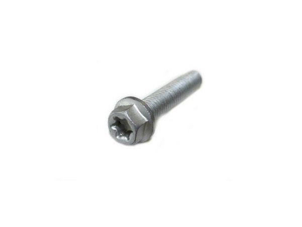 HH collar screw M6x30 TX30