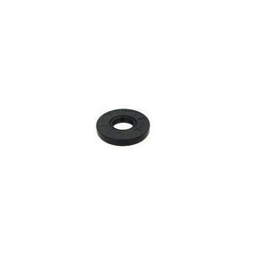 SHAFT SEAL RING 10X24X4