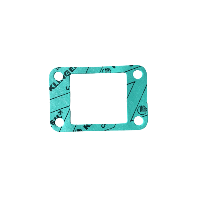 GASKET MEMBRAN CASE