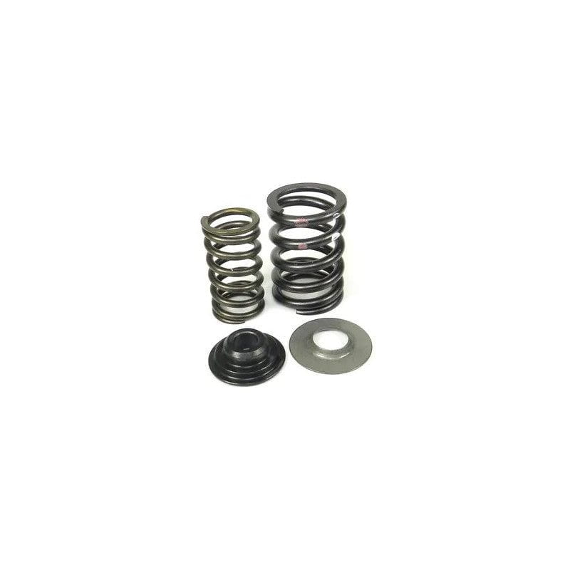 VALVE SPRING KIT (1X) RAC.2001