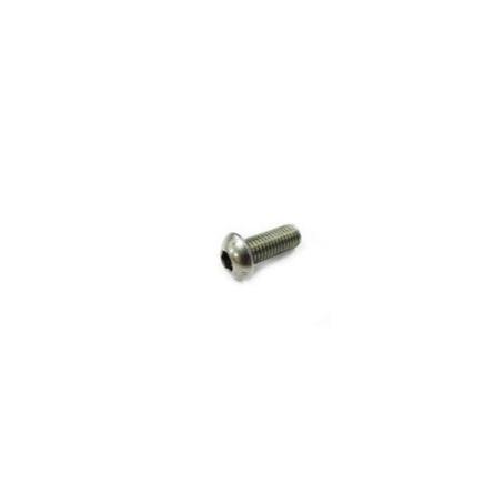 SCREW TORX M5X10